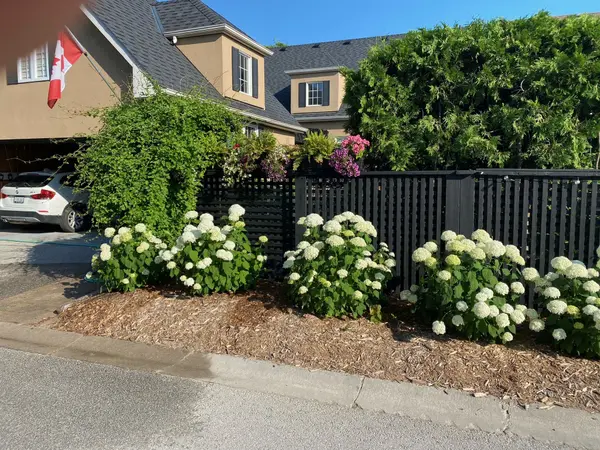 33 Callary CRES, Collingwood, ON L9Y 4X9