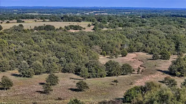 TBD Alamo Road, Bowie, TX 76230