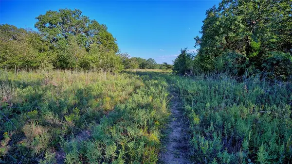 TBD Alamo Road, Bowie, TX 76230