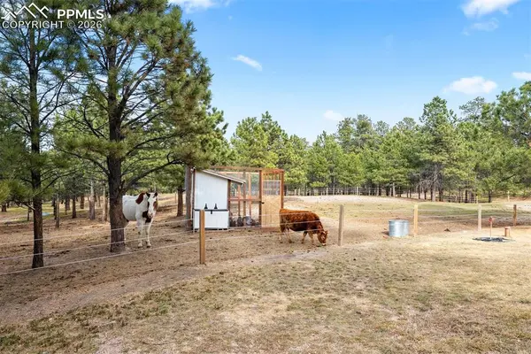 17521 Abert Ridge VW, Colorado Springs, CO 80908