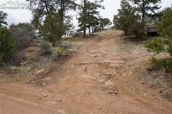 1893 Arapahoe DR, Cripple Creek, CO 80813