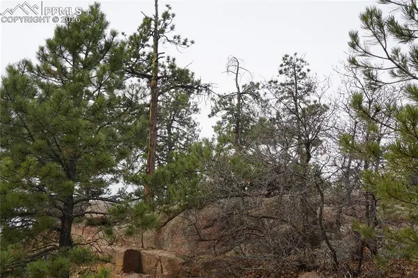 1893 Arapahoe DR, Cripple Creek, CO 80813