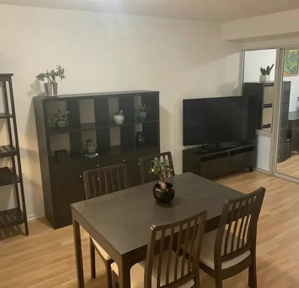 717 Bay ST #306, Toronto C01, ON M5G 2J9