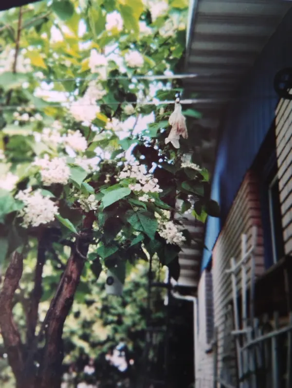 5094 Highway 138 N/A, South Stormont, ON K0C 2A0