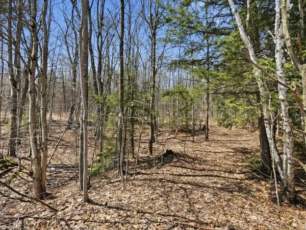 1670 Muskoka Rd 38 N/A, Muskoka Lakes, ON P0C 1A0