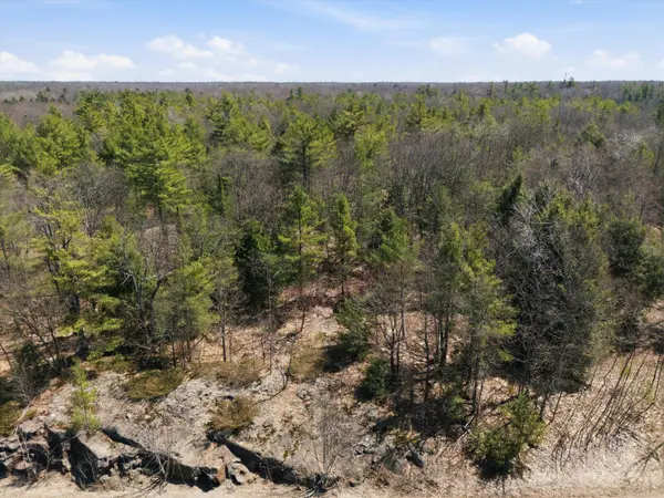 1671 Muskoka Rd 38 N/A, Muskoka Lakes, ON P0C 1A0