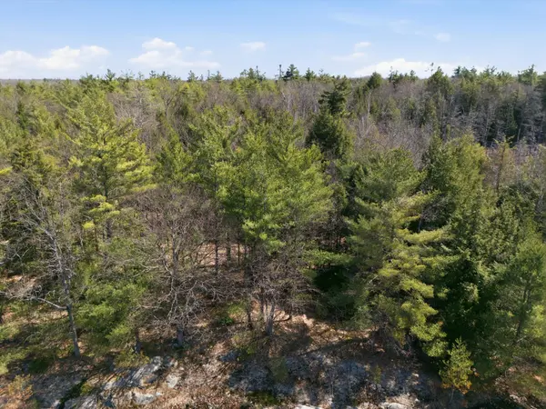 1673 Muskoka Rd 38 N/A, Muskoka Lakes, ON P0C 1A0