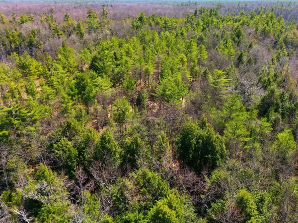 1673 Muskoka Rd 38 N/A, Muskoka Lakes, ON P0C 1A0