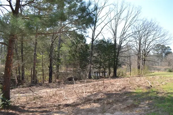 Lot 128, 144 County Road 2123, Quitman, TX 75783
