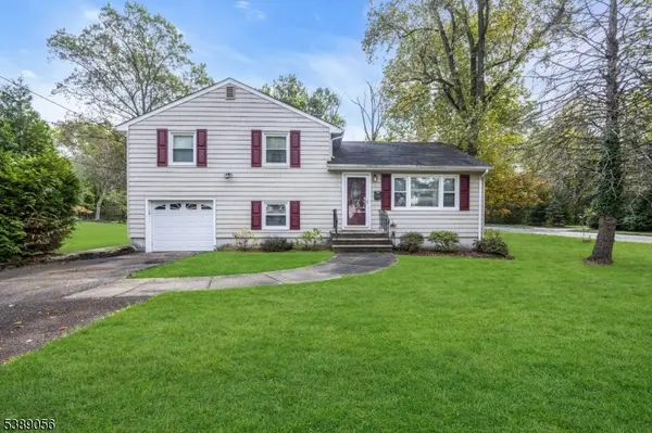 100 Sycamore Ave, Livingston Twp., NJ 07039