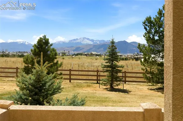 13036 Cupcake HTS, Colorado Springs, CO 80921