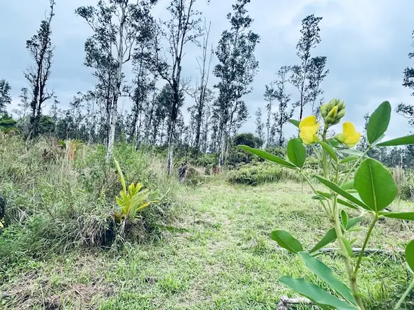 16-2030 AO RD, Kurtistown, HI 96760