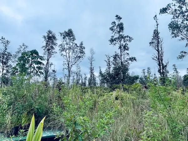 16-2030 AO RD, Kurtistown, HI 96760