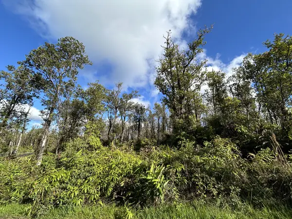 MAKOA RD, Volcano, HI 96785