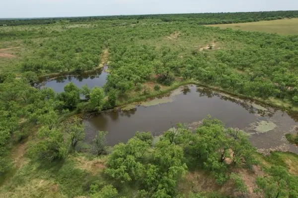 TBD FM 600, Anson, TX 79501