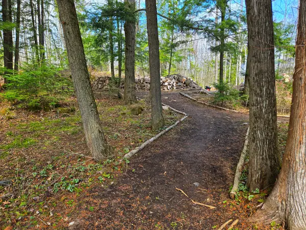 411 Fidlar Glen RD, Marmora And Lake, ON K0K 2M0