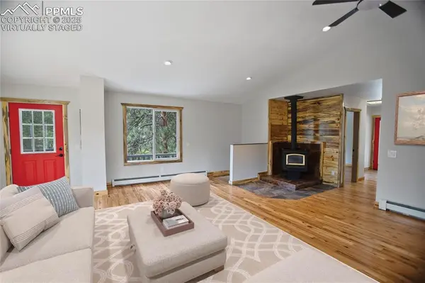 117 Rabbil Creek TRL, Florissant, CO 80816