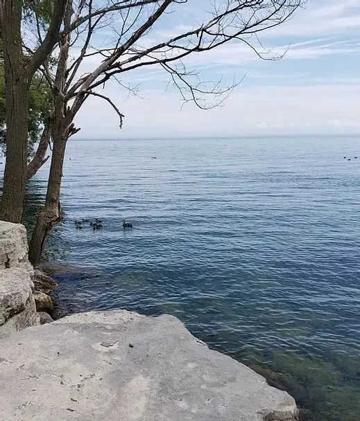 2663 Lake Shore BLVD W #802, Toronto W06, ON M8V 1G7