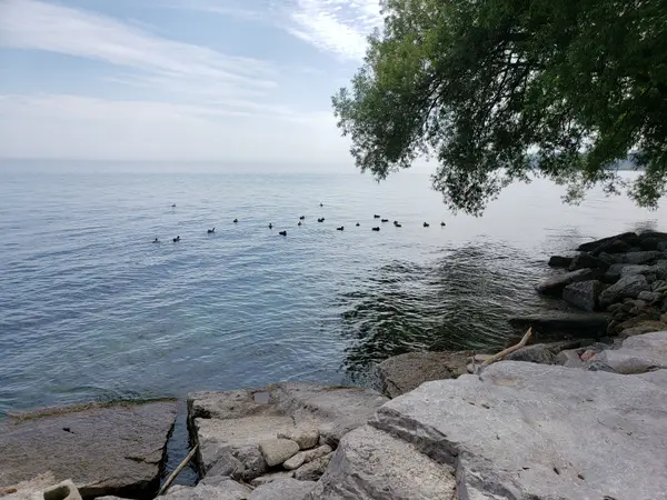 2663 Lake Shore BLVD W #802, Toronto W06, ON M8V 1G7