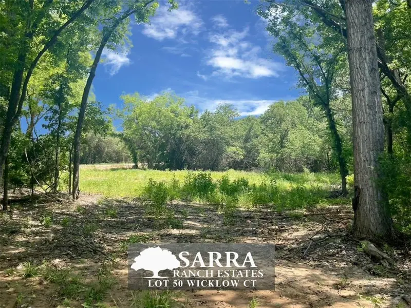 Lot 50 Wicklow Court, Poolville, TX 76487