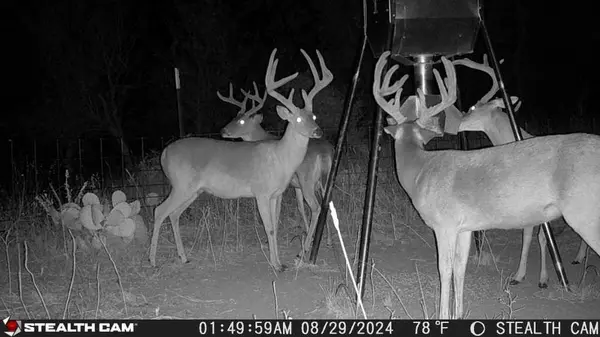 1789 County Road 147, Albany, TX 76430