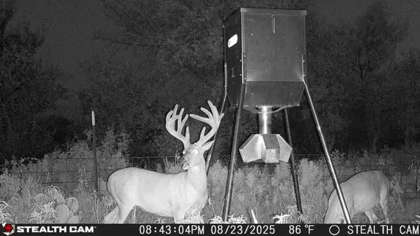 1789 County Road 147, Albany, TX 76430