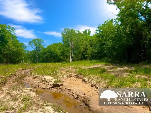 Lot 50 Wicklow Court, Poolville, TX 76487