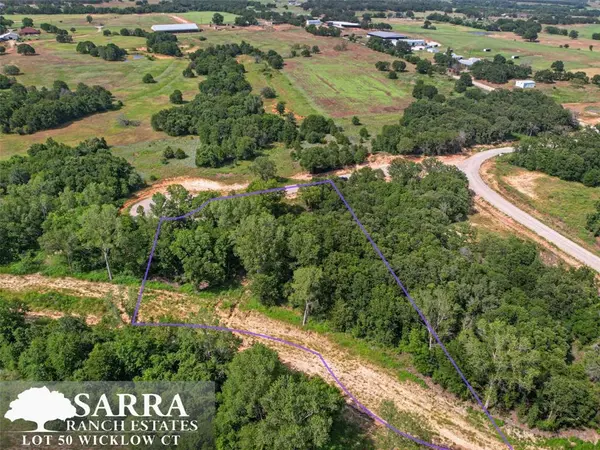 Lot 50 Wicklow Court, Poolville, TX 76487