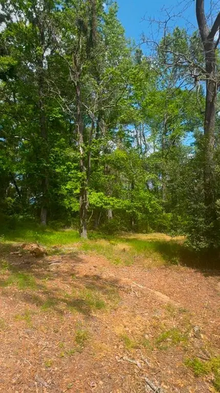 0 Turner Lane, Shreveport, LA 71106