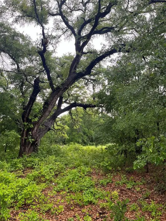 213 PR 1743B, Clifton, TX 76634