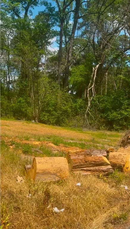 0 Turner Lane, Shreveport, LA 71106