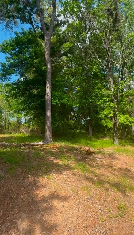 0 Turner Lane, Shreveport, LA 71106