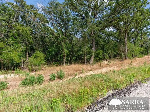 Lot 79 Kilkenney Road, Poolville, TX 76487
