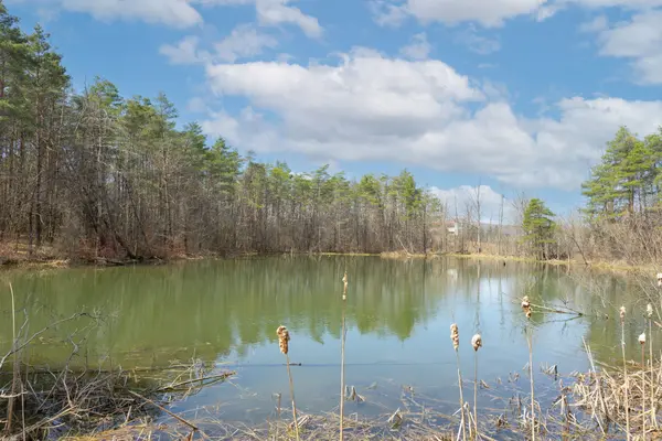 159 Highway 47 HWY, Uxbridge, ON L9P 0C7