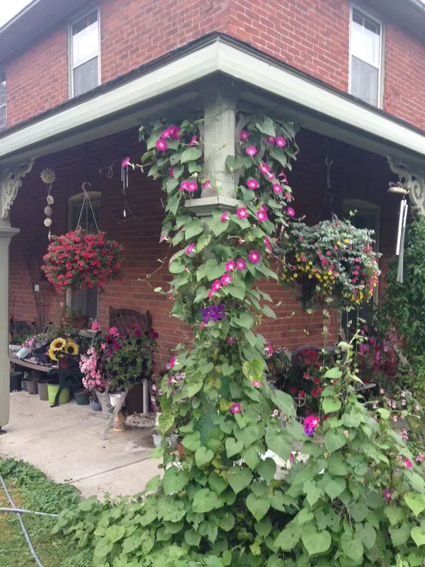 3756 Burnham ST, Hamilton Township, ON K9A 4J9