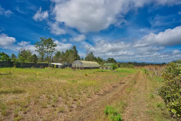 11-1984 OHIALANI RD, Volcano, HI 96785