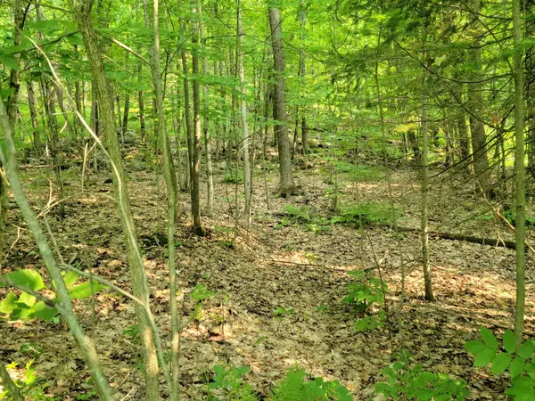 32 MOUNT VERNON TRL #22, Huntsville, ON P1H 1E3