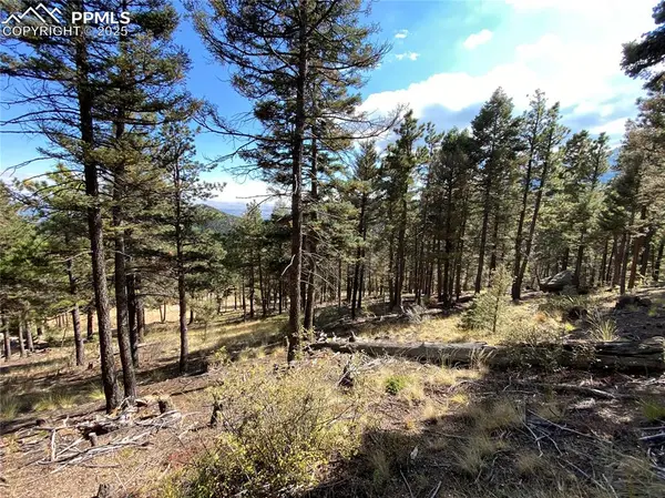 342 Ponderosa VW, Manitou Springs, CO 80829