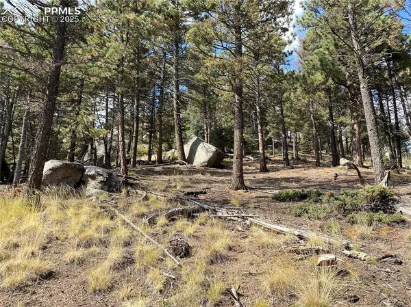 342 Ponderosa VW, Manitou Springs, CO 80829