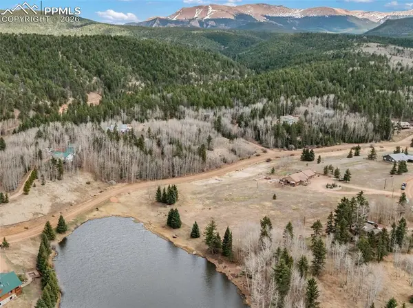 689 Divide South DR, Divide, CO 80814