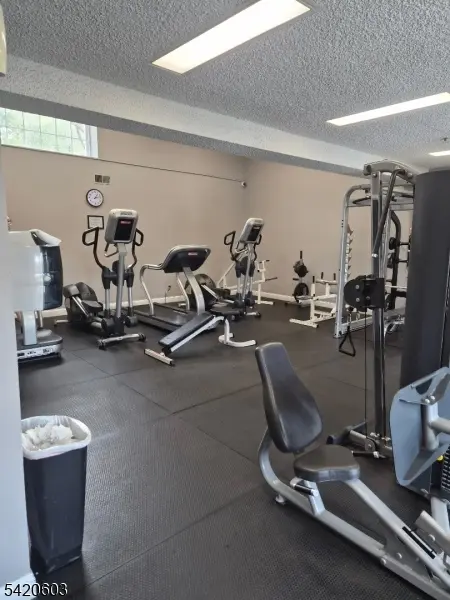 16 Dunbar Court, Bedminster Twp., NJ 07921