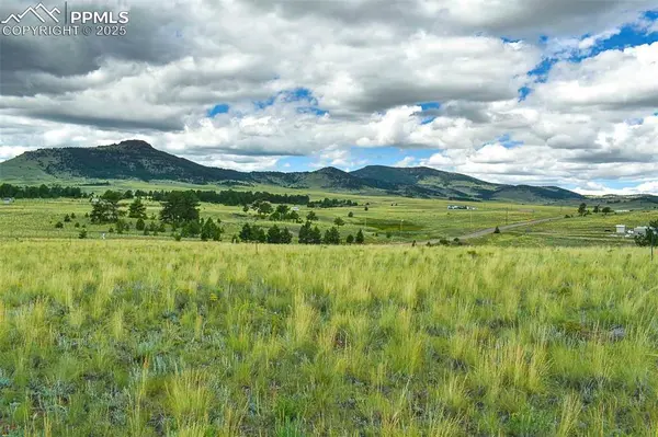 4782 County Road 71, Guffey, CO 80820