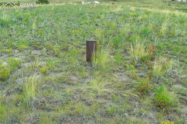 4782 County Road 71, Guffey, CO 80820