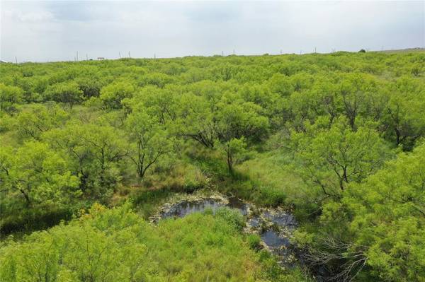 TBD McDonald Rd-TRACT 7, Bellevue, TX 76228