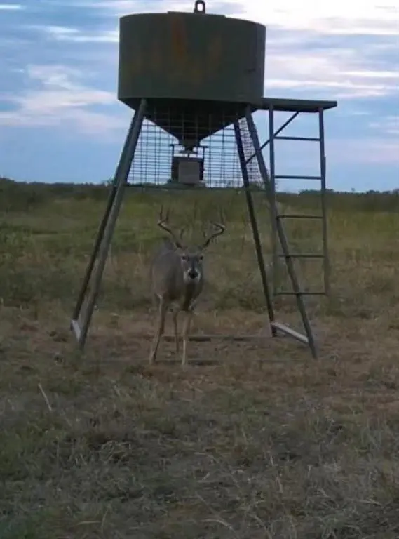 TBD McDonald Rd-TRACT 7, Bellevue, TX 76228