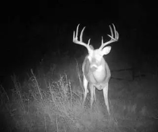 TBD McDonald Rd-TRACT 7, Bellevue, TX 76228