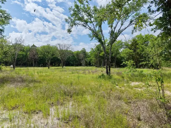 Lot 12R Drift Foam Drive, Gun Barrel City, TX 75156