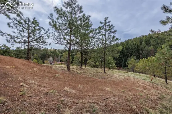 521 University DR, Woodland Park, CO 80863