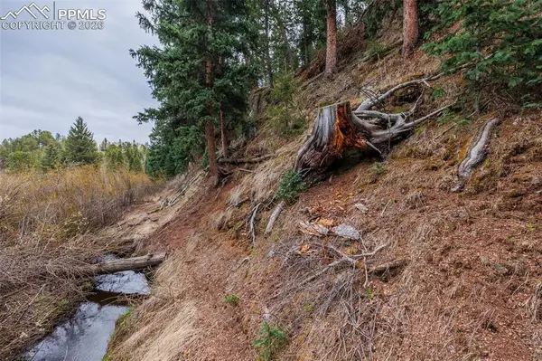 521 University DR, Woodland Park, CO 80863