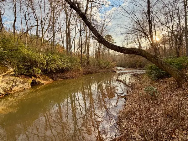 0 East Ferry Rd,  Gladys,  VA 24554